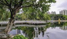 蛇口荔枝公园9