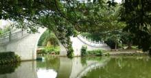 蛇口荔枝公园11