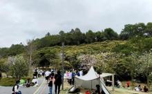 雪竹径公园2