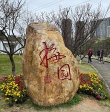 梅园2