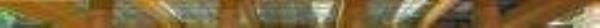 梦幻水城10
