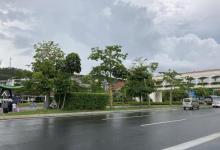 横琴岛10