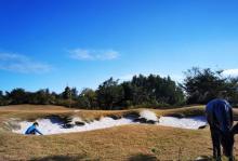 红树林公园12