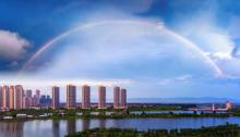 红树林公园1