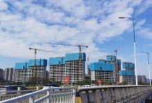 红树林公园13