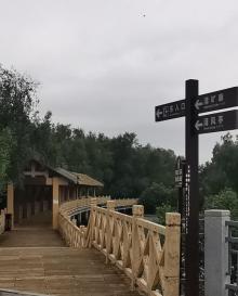 红树林公园26