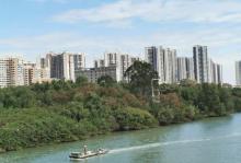 红树林公园20