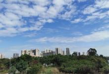红树林公园18