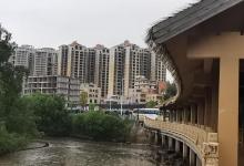 红树林公园24