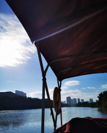 红树林公园11