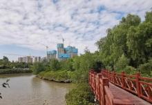 红树林公园16