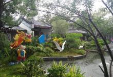 红树林公园7