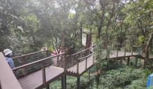 西丽水库桃花林1