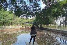 燕子岭公园14