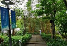 燕子岭公园6