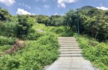罗田森林公园3