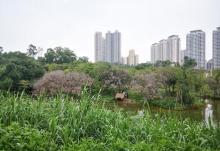 港珠澳大桥珠海公路口岸6