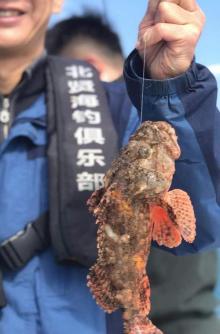 北贤游艇海钓俱乐部1