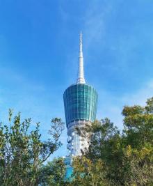 仙桐体育公园4