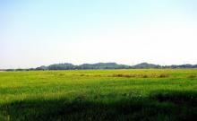崖口村5