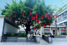 思月书院9