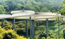 大顶岭山林公园6