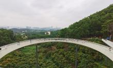 大顶岭山林公园22