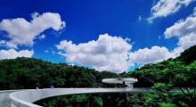 大顶岭山林公园16