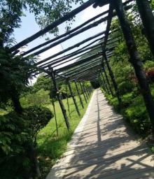 大屏障森林公园15