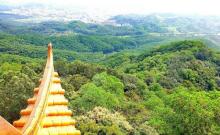 大屏障森林公园13