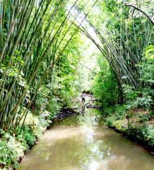 大屏障森林公园14