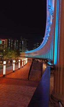 沙井中心公园16