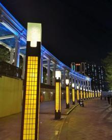 沙井中心公园11