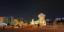 沙井中心公园15