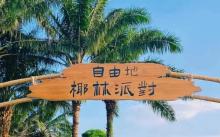 深圳自由地・椰林派对露营地3