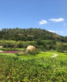 淘金山绿道18