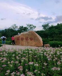 淘金山绿道5