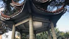 西乡公园7
