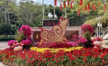 大沙河公园5