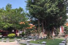 普陀寺29