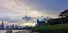 深圳湾公园北湾鹭港2