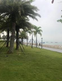 女娲滨海公园1