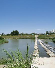 坪山湿地公园5