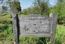 坪山湿地公园7