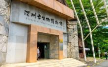 深圳古生物博物馆1