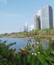 大沙河生态长廊5