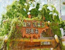 深圳小泥巴营地4