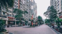 西丽366大街5