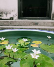 东莞会馆2