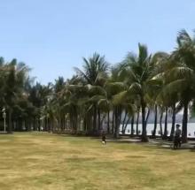 海滨生态公园5